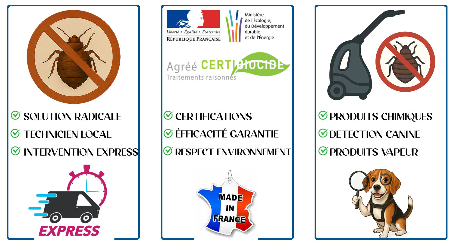 Punaises de Lit Sannois